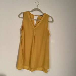 Pleione Yellow Work Tank